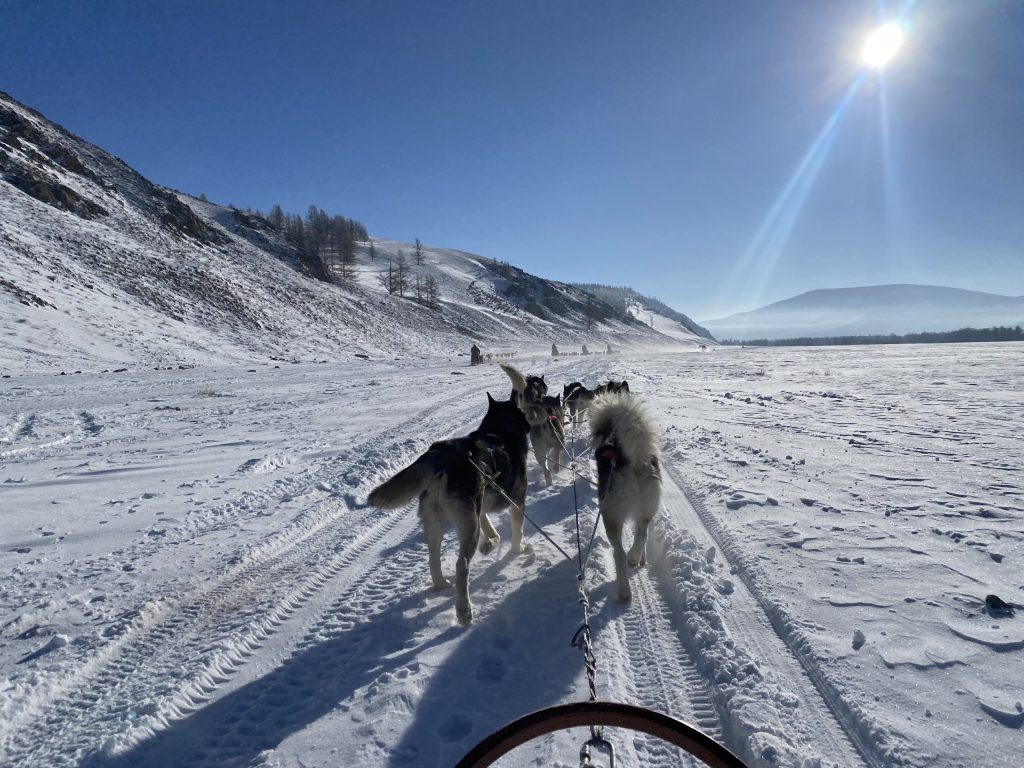 mongolia winter tours